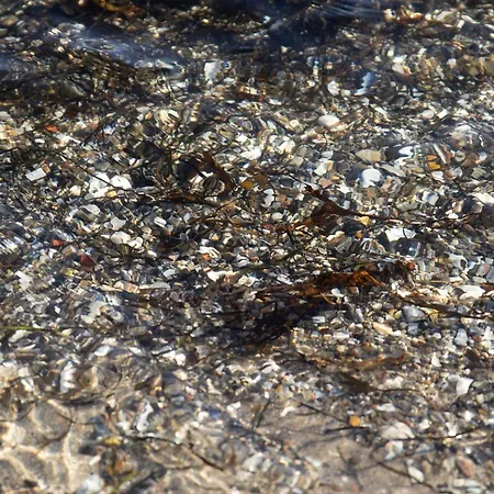 بيت للعطل 6 Person In Bjert *